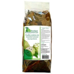 Graviola Corossol - feuilles entières