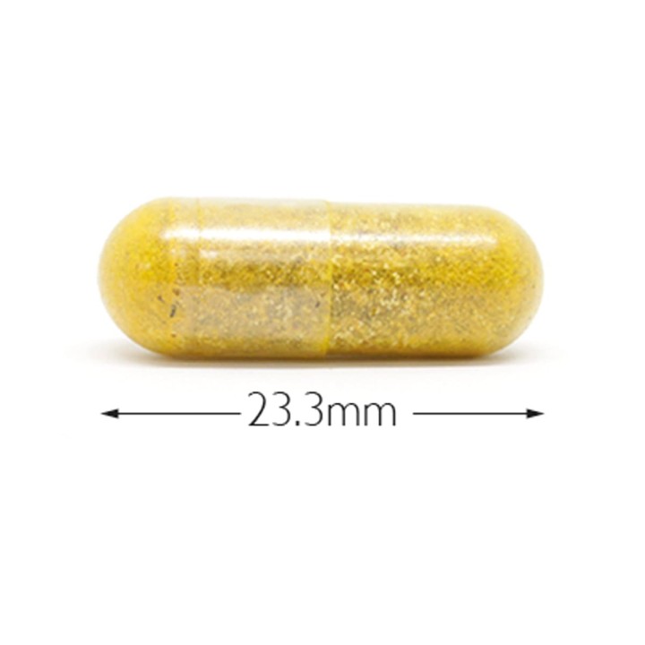 Wholefood Multi : supplément complet de vitamines et de minéraux