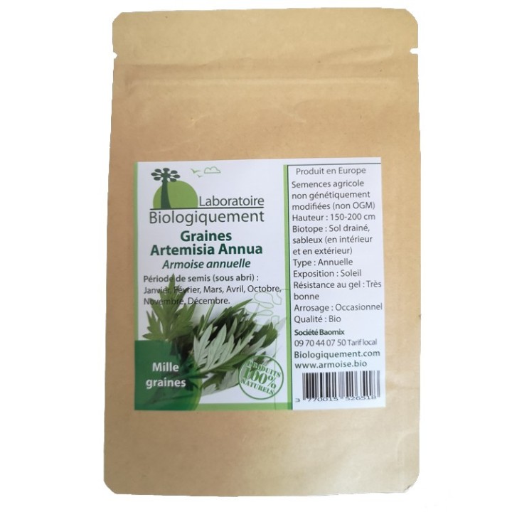 Artemesia annua, puissant antioxydant, en graine pour semence