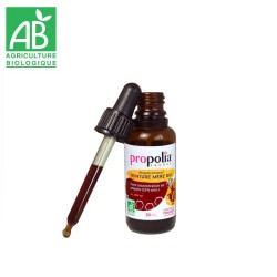 Urtinktur aus Propolis BIO