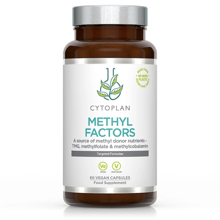 Complex that provides additional methyls for methylation