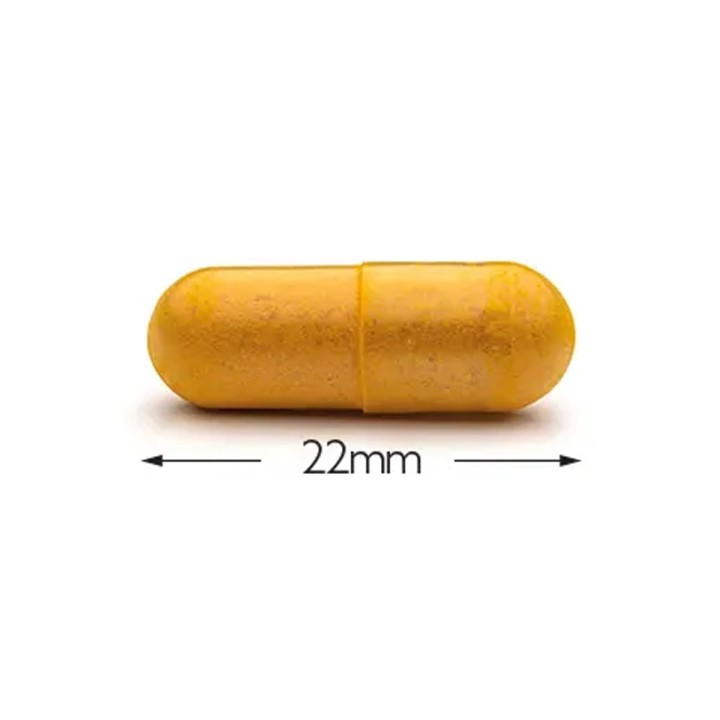 Food supplement for dogs for joint comfort