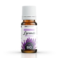 Lavande Officinale BIO...