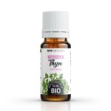 Thymian Thymol BIO [ Ätherisches Öl ]