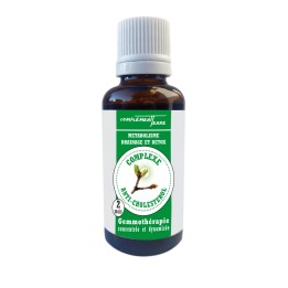 Gemmotherapie Muttermazerat von Knospen mit Anti-Cholesterin-Eigenschaften
