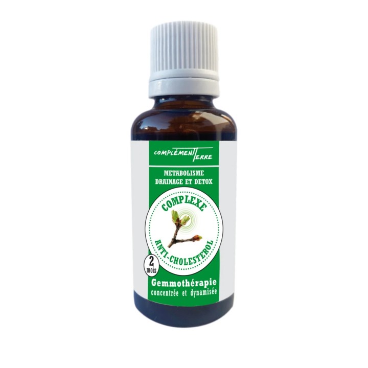 Gemmotherapy Mother macerate of buds with anti-cholesterol properties