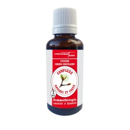 Macérat-mère de bourgeons bénéfiques pour le système vasculaire
