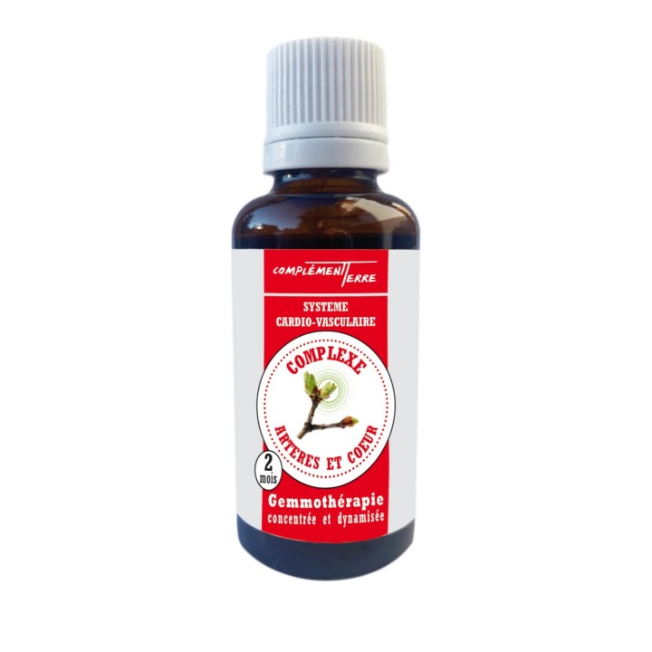 Macérat-mère de bourgeons bénéfiques pour le système vasculaire