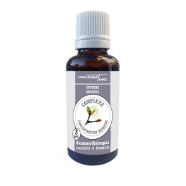 Gemmotherapy Mother macerate of buds beneficial for memory
