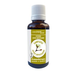 Gemmotherapy Bud extract for the joints