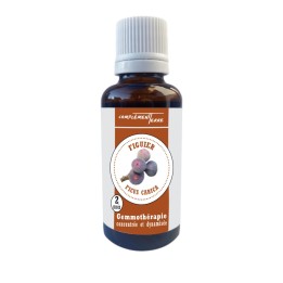 Gemmotherapy Mother macerate of organic fig tree buds