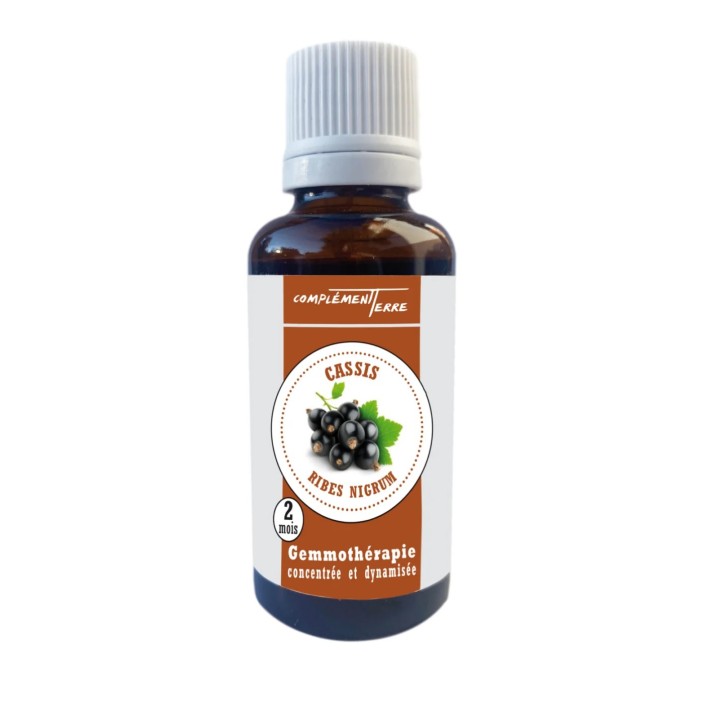 Gemmothérapie Macérat-mère de bourgeons de cassis bio