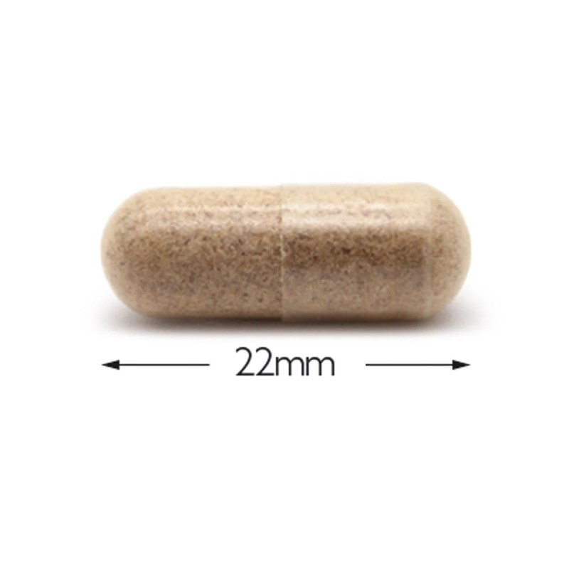 Psyllium for intestinal transit disorders andappetite suppressants