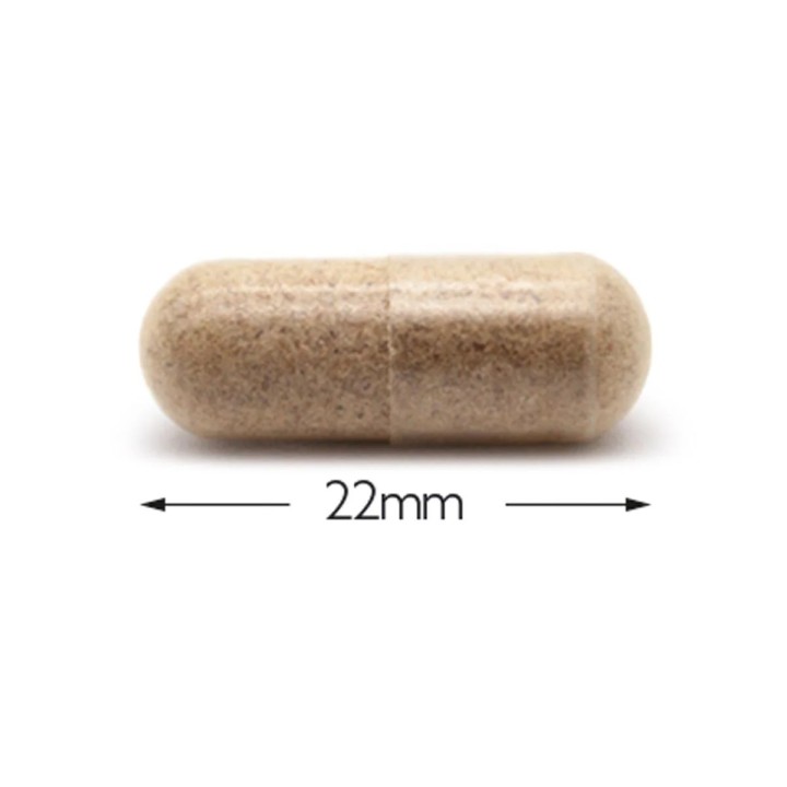 Psyllium blond pour les troubles du transit intestinal et coupe faim
