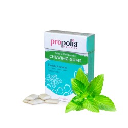 Chewing gums Propolis & Menthe