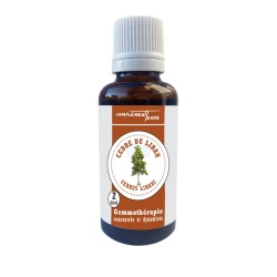 Lebanese cedar