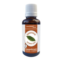 Gemmotherapy Mother macerate of organic chestnut buds