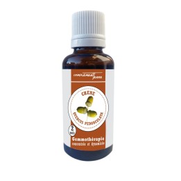 Gemmotherapie-Muttermazerat aus Bio-Stieleichenknospen