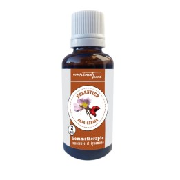 Gemmotherapy Mother macerate of organic rosehip buds