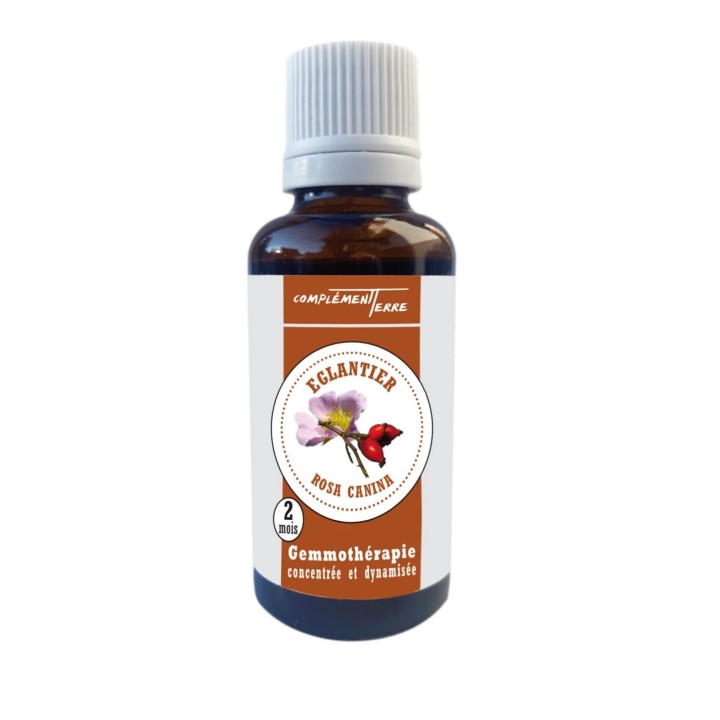 Gemmotherapy Mother macerate of organic rosehip buds