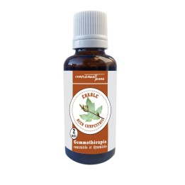 Gemmotherapy Mother macerate of organic country maple buds