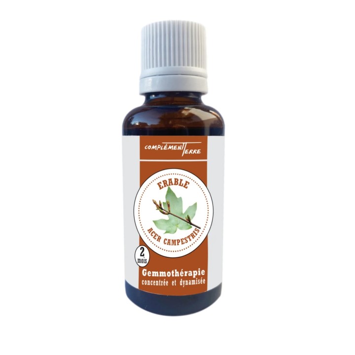 Gemmotherapy Mother macerate of organic country maple buds
