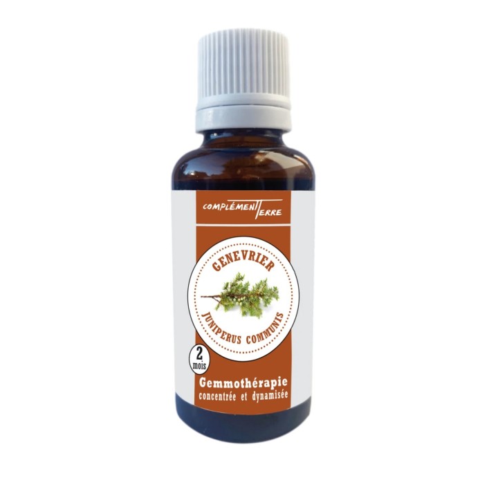 Macerate of young fresh organic juniper shoots