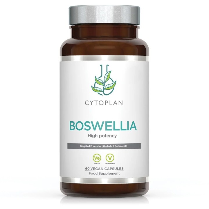 Boswellia serrata, plante d'Inde connu pour soulager les articulations
