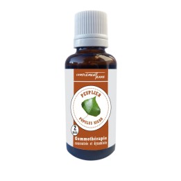 Macérat de bourgeons frais de peuplier BIO