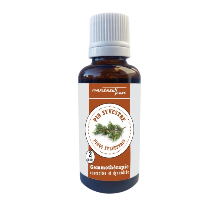 Macerate of fresh organic Scots pine buds