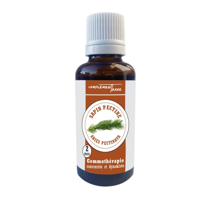 Mazerat aus frischen Bio-Tannenknospen