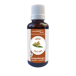Macerate of fresh organic willow buds
