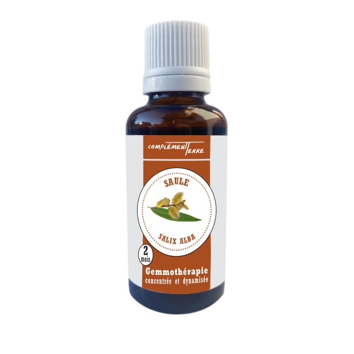 Macérat de bourgeons frais de saule BIO