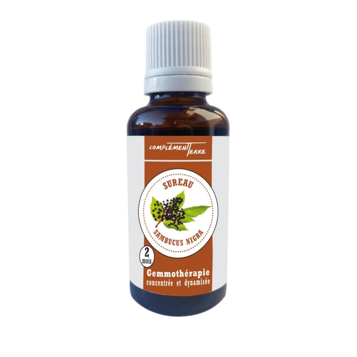 Macerate of fresh organic Elderberry buds