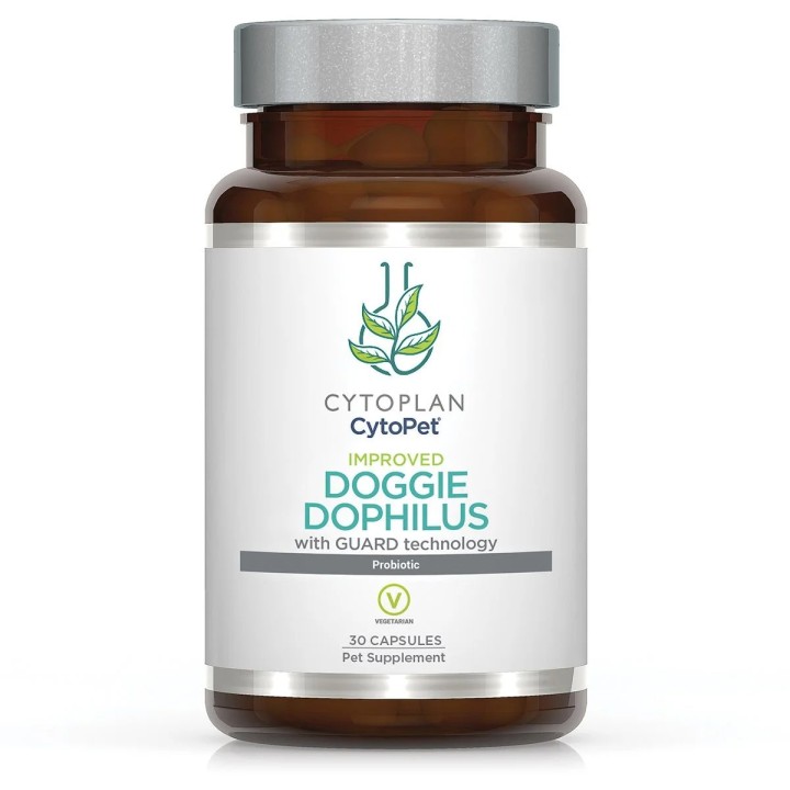 Probiotiques pour chien