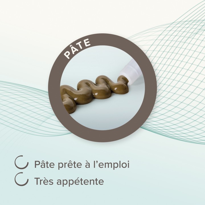 Pâte pour soulager les troubles gastro-intestinaux des chiens et chats