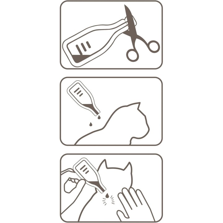 Anti-Floh-Behandlung für Katzen, aktiv für 5 Wochen