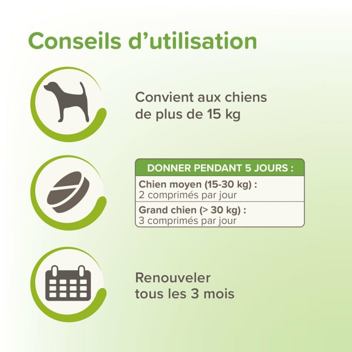 Natürliche Entwurmungstabletten für mittelgroße und große Hunde ab 4 Wochen