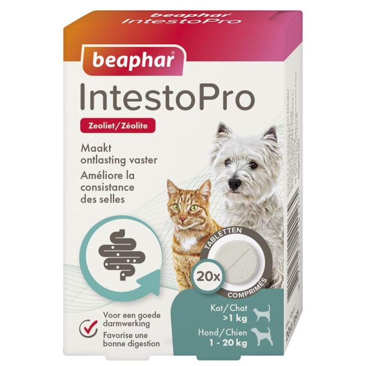 Linderung von Magen-Darm-Beschwerden bei Hunden und Katzen