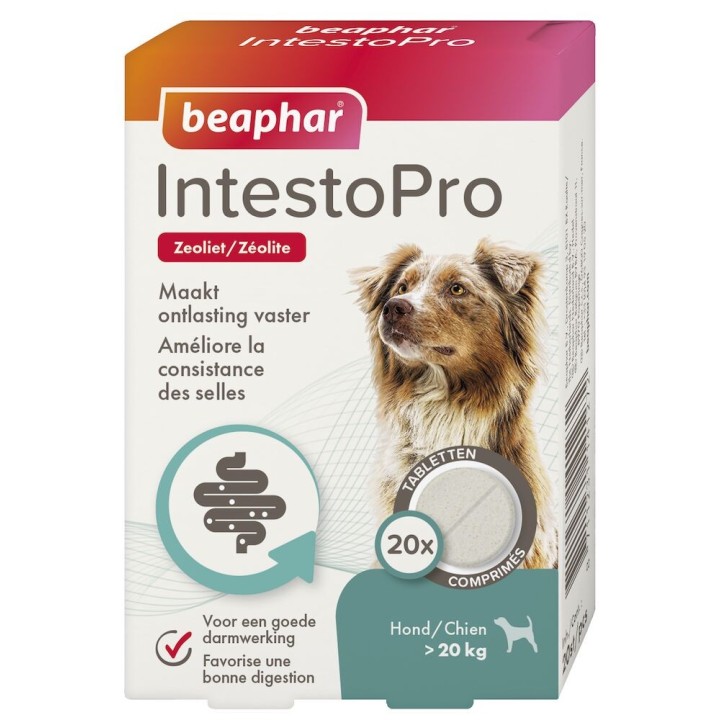 Tablets to relieve gastrointestinal disorders in dogs