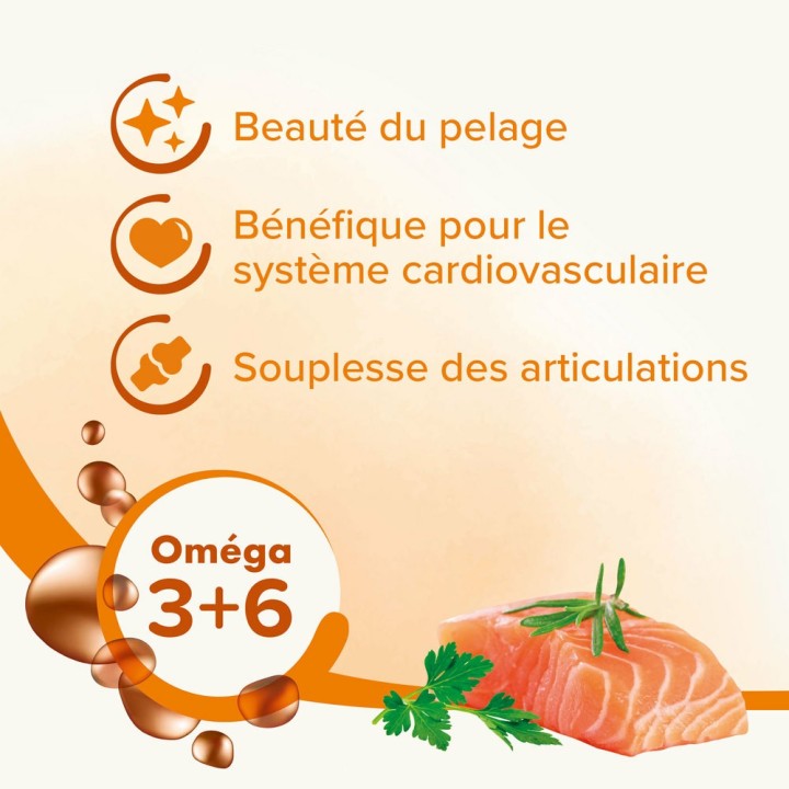 Huile de saumon riche en acides omega 3 et 6 pour chats et chiens