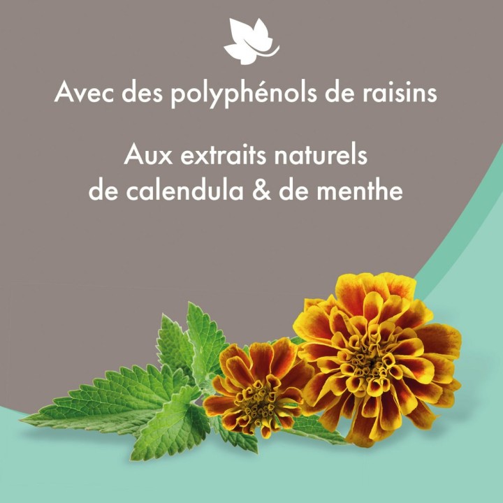 shampoing anti-démangeaison pour les peaux irritées des chiens