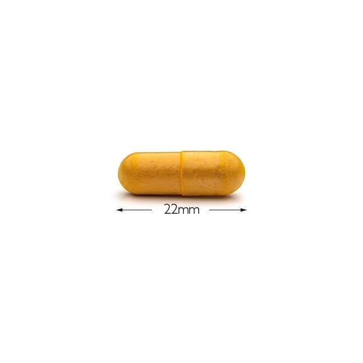 Le complexe de glucosamine pour le soin des articulations