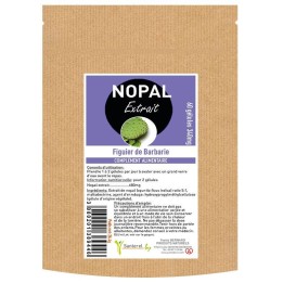 Nopal ou figue de Barbarie, l'allié du rééquilibrage alimentaire