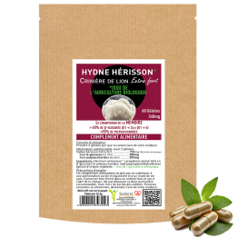 Champignon Hericium, l'ami du cerveau et de l'estomac