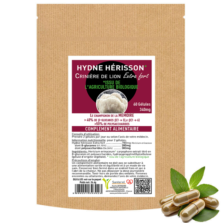 Champignon Hericium, l'ami du cerveau et de l'estomac