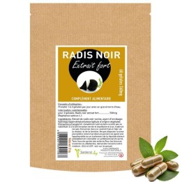 Radis noir, idéal pour détoxifier l'organisme en toute saison