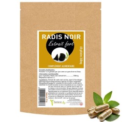 Radis noir