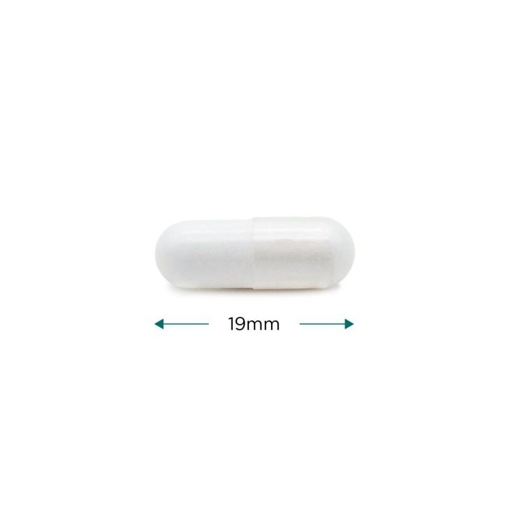 L-Theanine pure dosée à 250mg par gélule