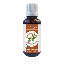 Gemmotherapy Organic dogwood bud macerate